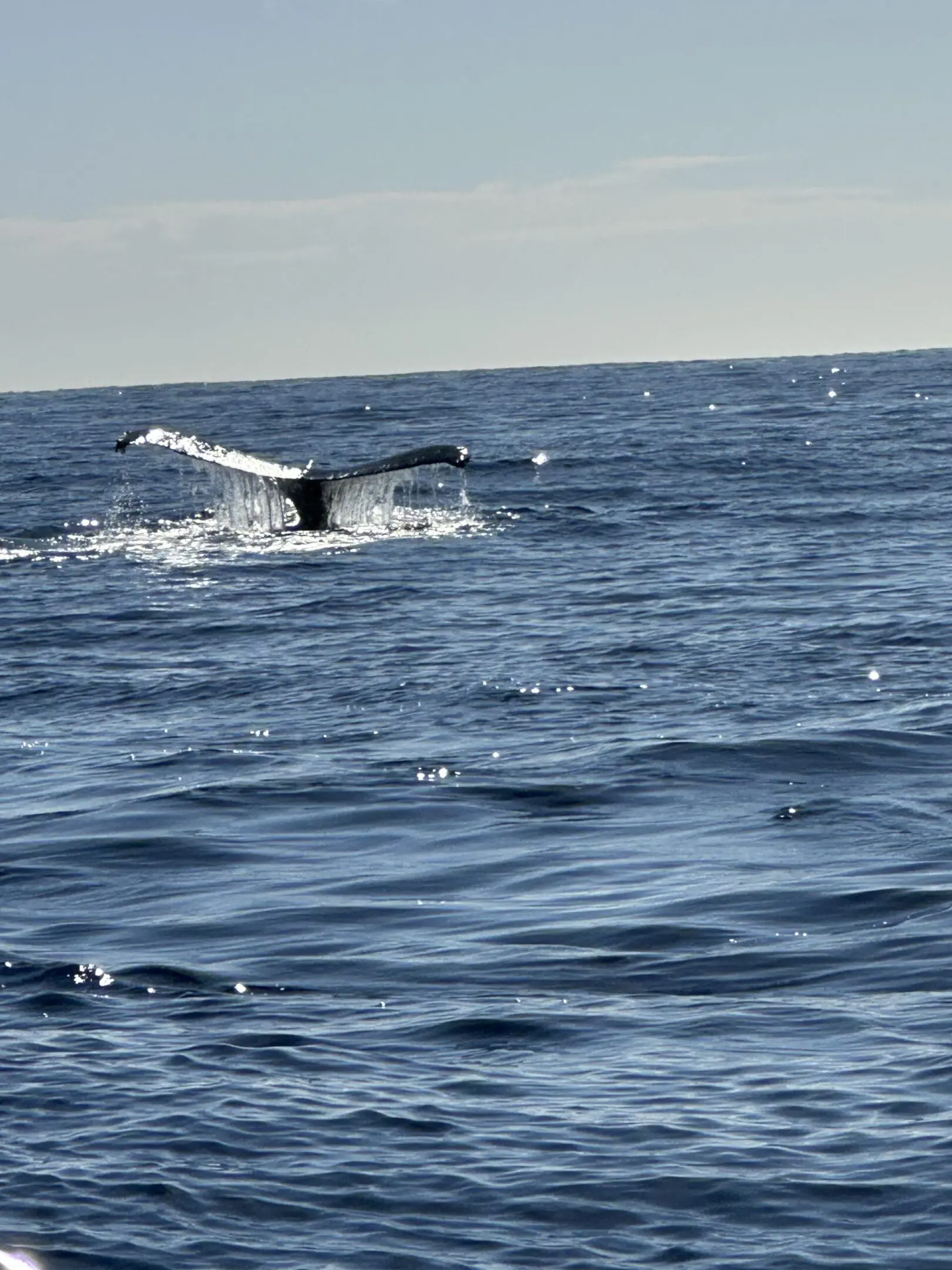 Image20260219113550