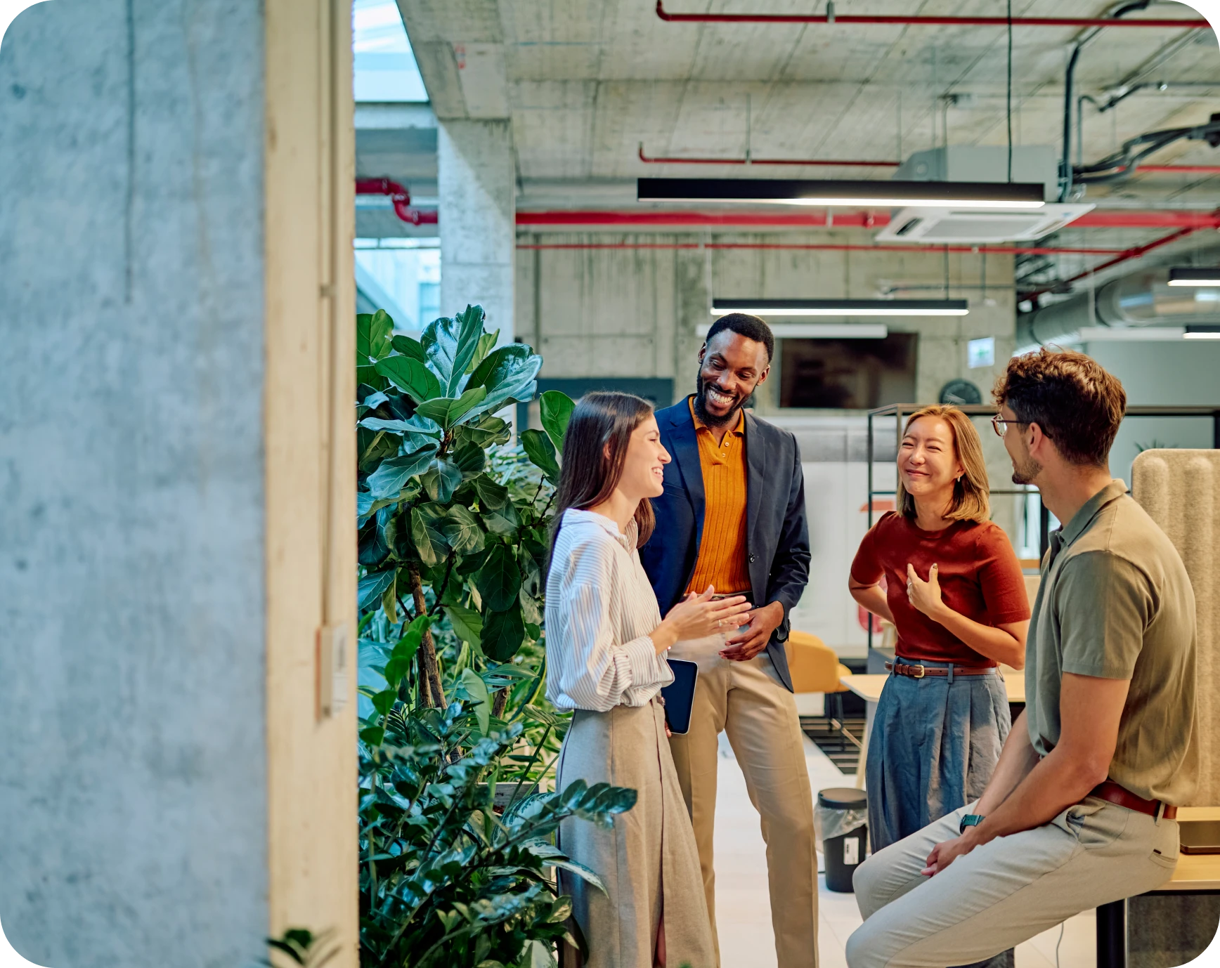 Friendly office meeting near plants